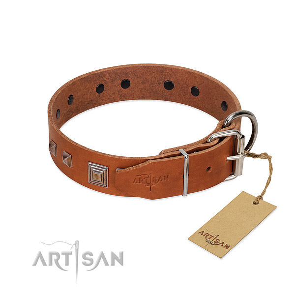 Unusual collar of natural leather for your attractive doggie