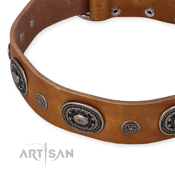 Top rate leather dog collar handcrafted for your lovely four-legged friend