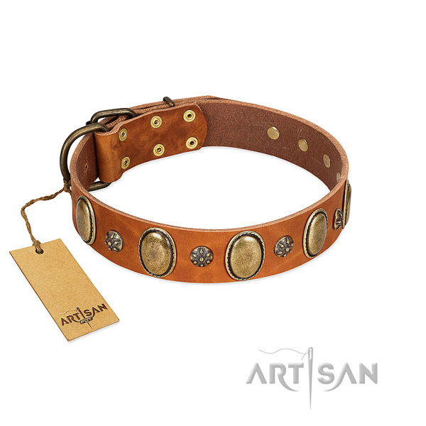 Stylish walking high quality full grain genuine leather dog collar with embellishments
