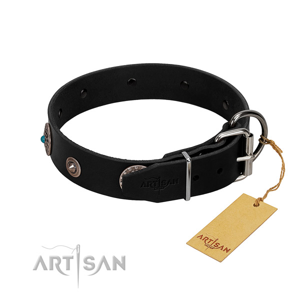 Top notch adorned full grain natural leather dog collar