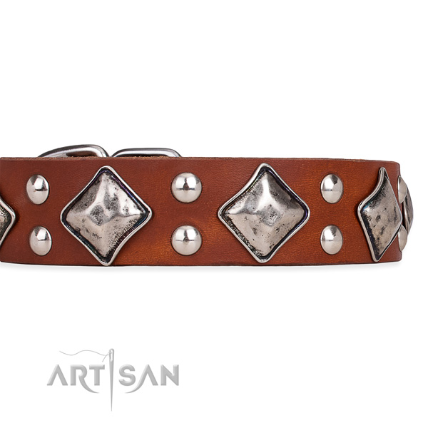 Natural leather dog collar with unique corrosion resistant embellishments
