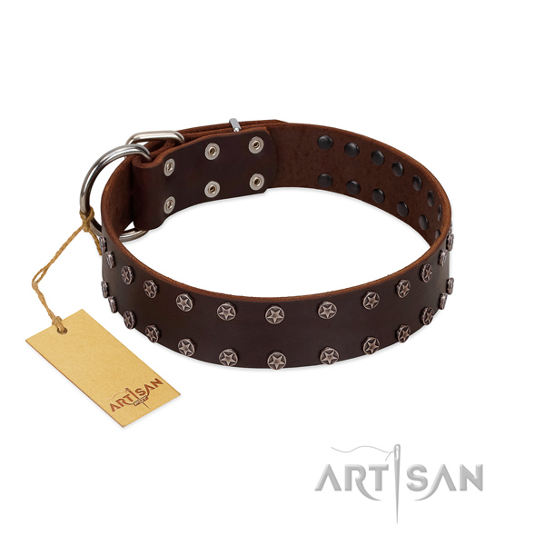 Daily walking full grain leather dog collar with designer decorations