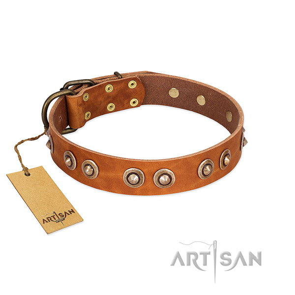 Reliable hardware on leather dog collar for your pet