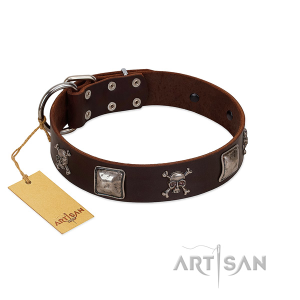 Awesome studded natural leather dog collar