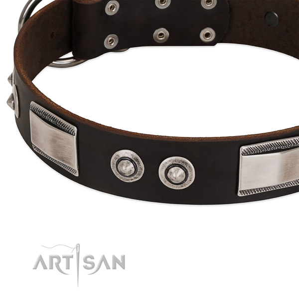 Amazing natural leather collar for your pet
