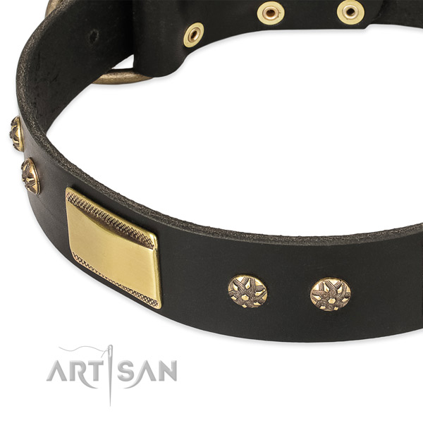 Strong embellishments on leather dog collar for your dog