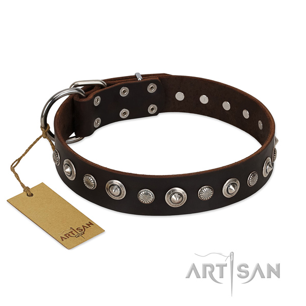 Quality natural leather dog collar with stunning embellishments