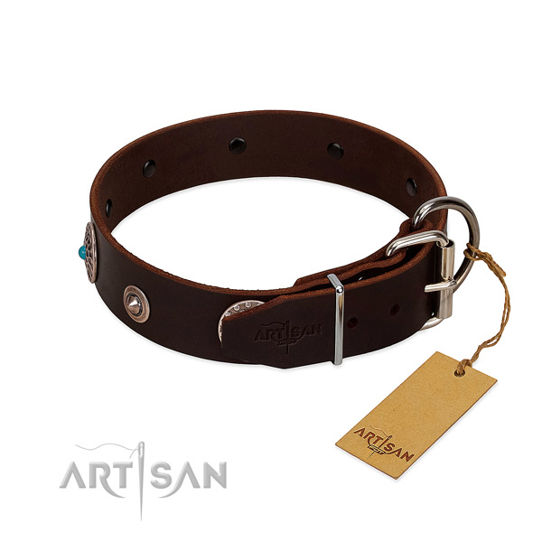Exceptional full grain leather dog collar with corrosion proof embellishments