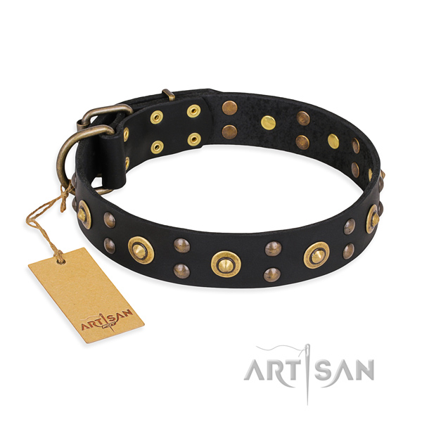 Handy use designer dog collar with durable D-ring