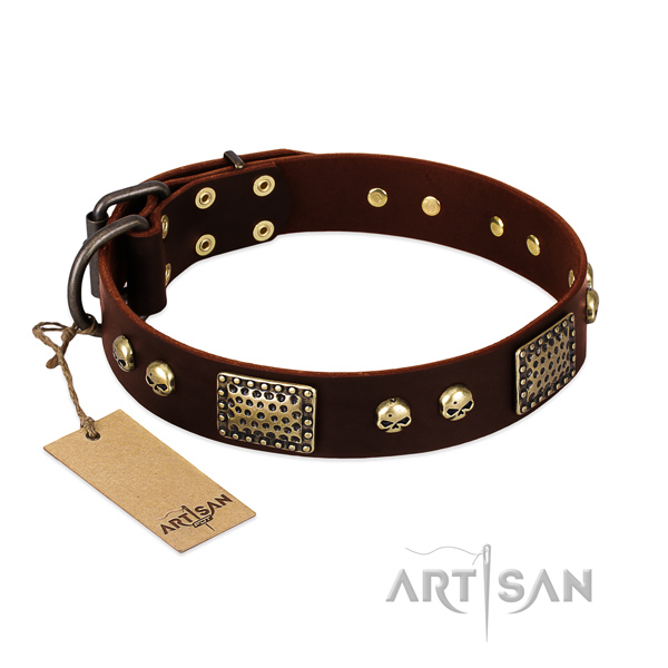 Adjustable genuine leather dog collar for basic training your pet