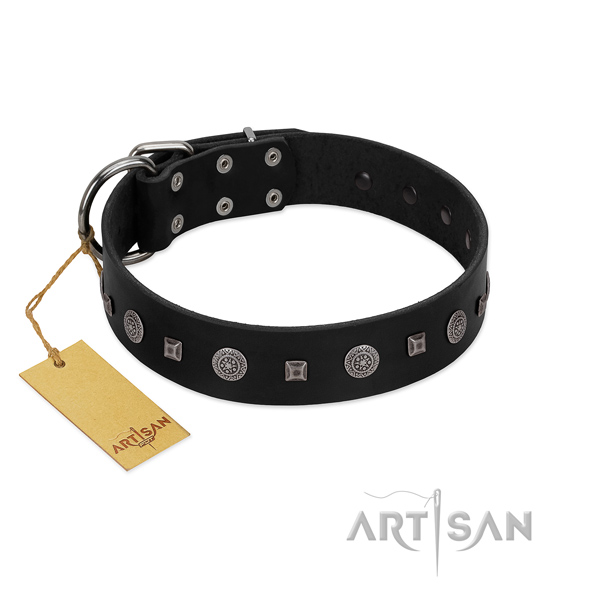 Stylish walking soft natural leather dog collar with decorations