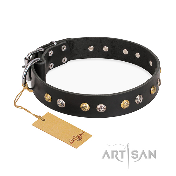 Daily walking adorned dog collar with reliable fittings