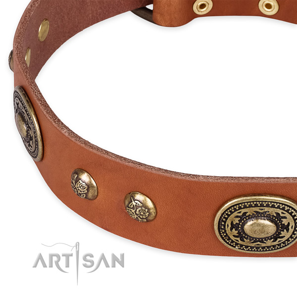 Significant natural leather collar for your lovely pet