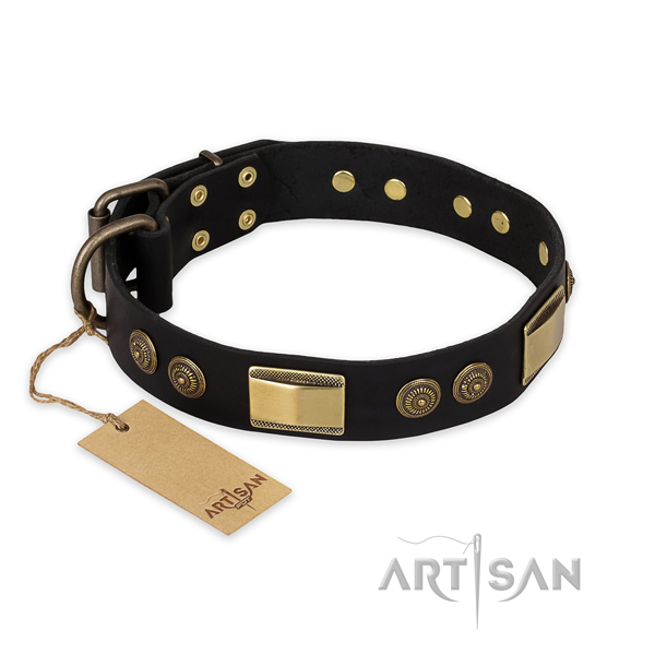 Best quality full grain natural leather dog collar for basic training