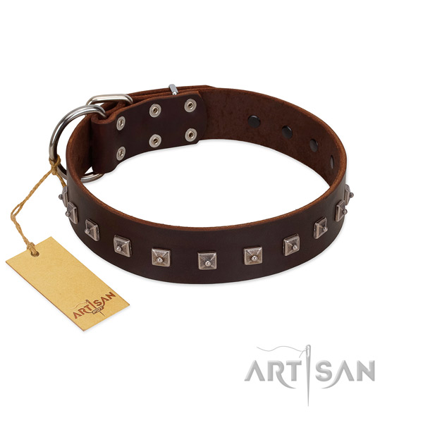 Inimitable adorned natural leather dog collar