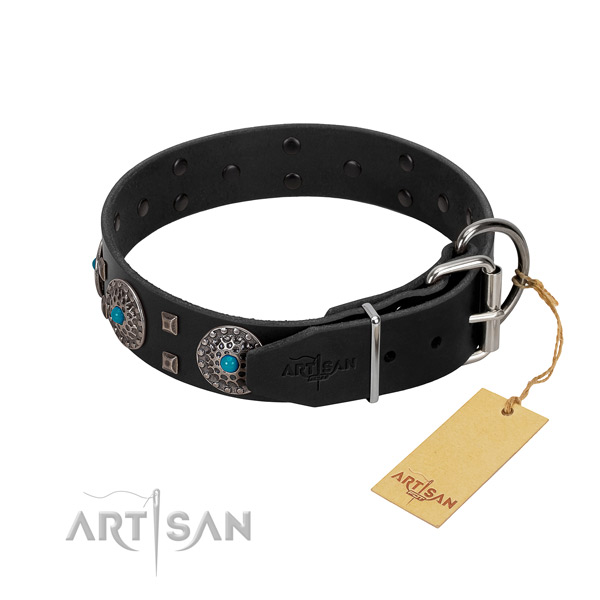 Top notch genuine leather dog collar with adornments for daily use