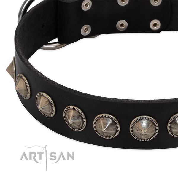Easy wearing adorned genuine leather collar for your doggie