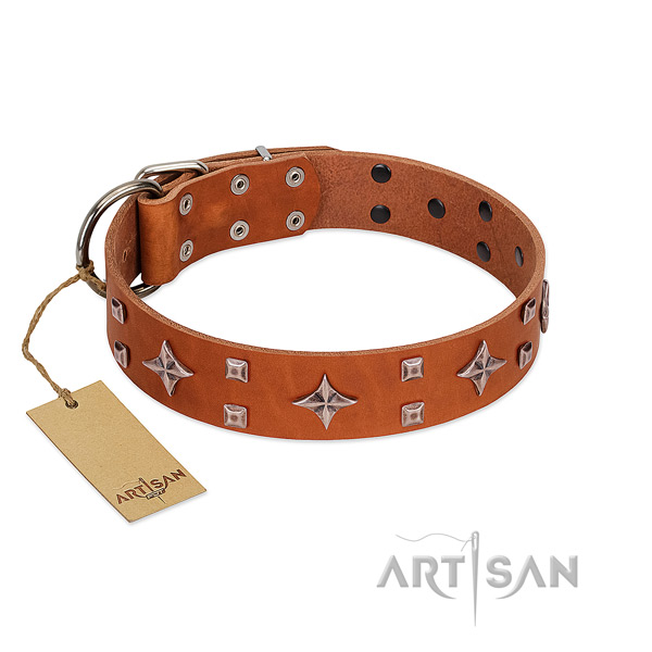 Exceptional genuine leather collar for your canine walking
