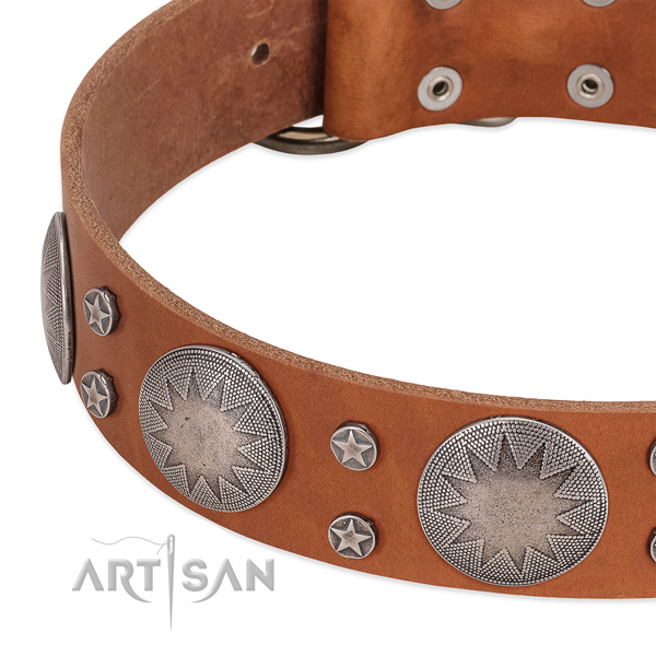 Flexible full grain leather dog collar with rust-proof buckle