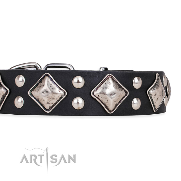 Natural leather dog collar with inimitable corrosion proof decorations