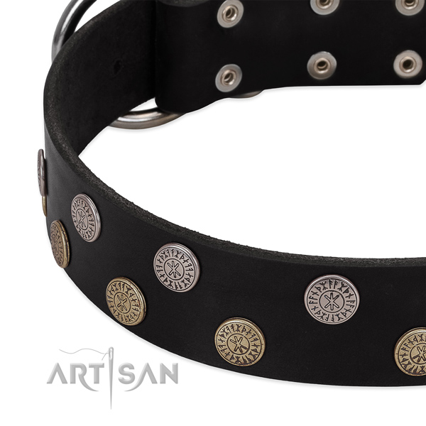 Reliable leather dog collar with embellishments for your handsome doggie