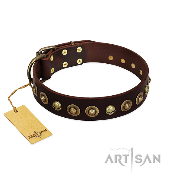 Full grain leather collar with unique decorations for your pet