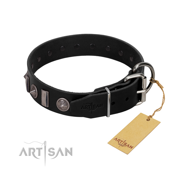 Reliable leather dog collar with studs for your stylish canine