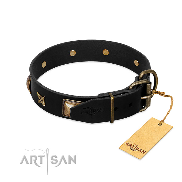Durable traditional buckle on full grain leather collar for everyday walking your dog