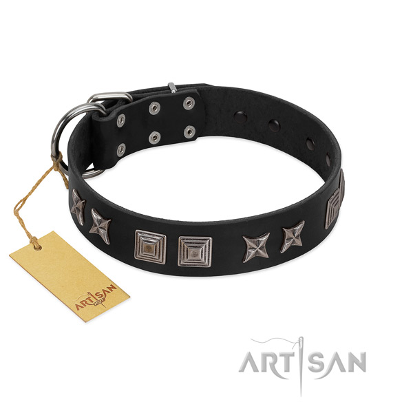 Genuine leather dog collar with inimitable embellishments made dog