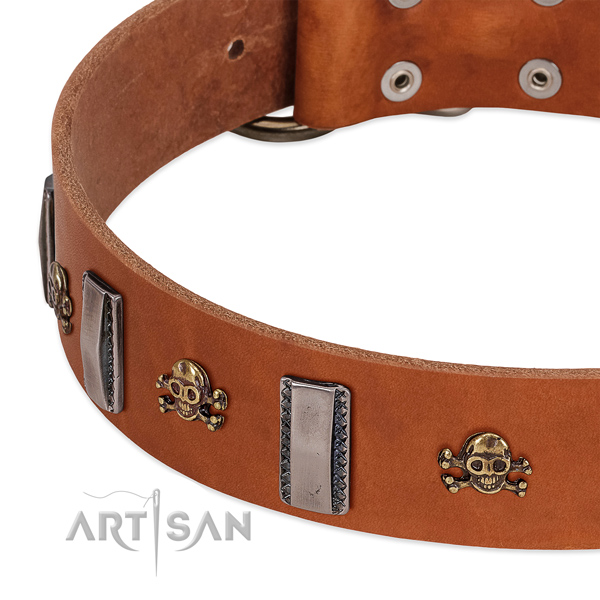 Exquisite studs on full grain leather dog collar for comfortable wearing