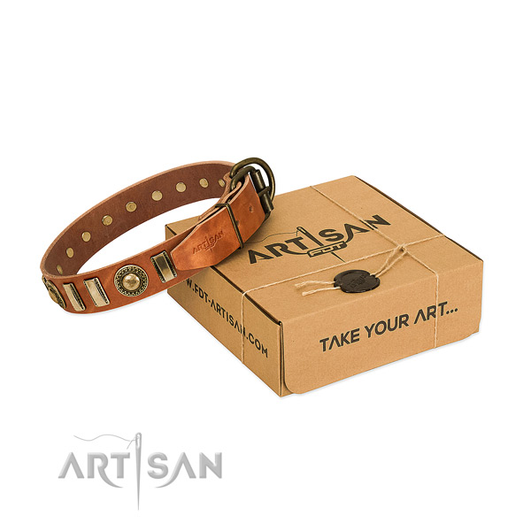 Quality natural leather dog collar with rust resistant hardware