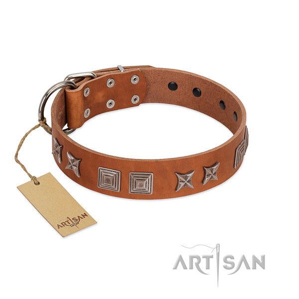 Leather dog collar with fashionable embellishments created four-legged friend
