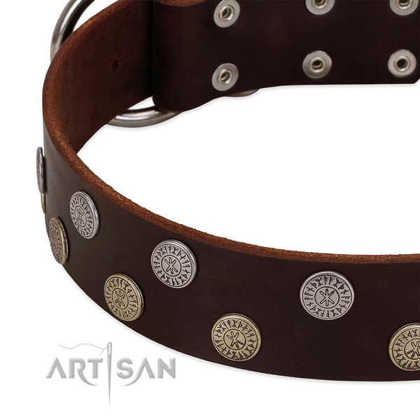 Flexible full grain natural leather dog collar with studs for your handsome four-legged friend