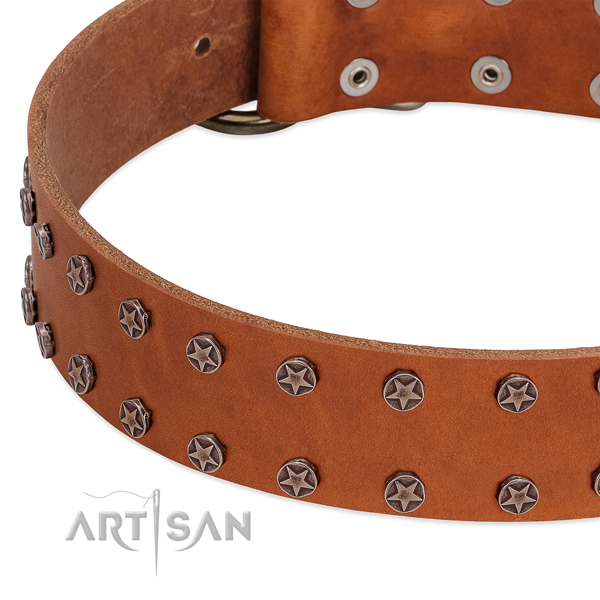 Flexible full grain genuine leather dog collar with embellishments for your dog