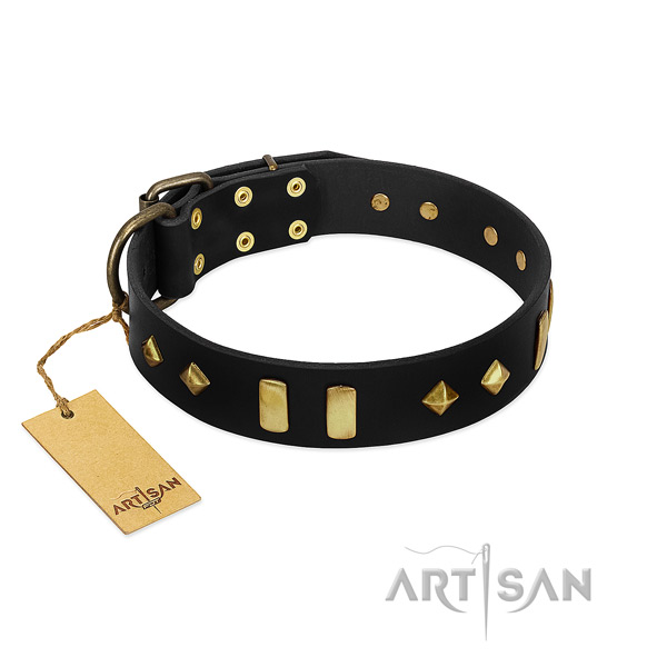 Natural leather dog collar with amazing studs