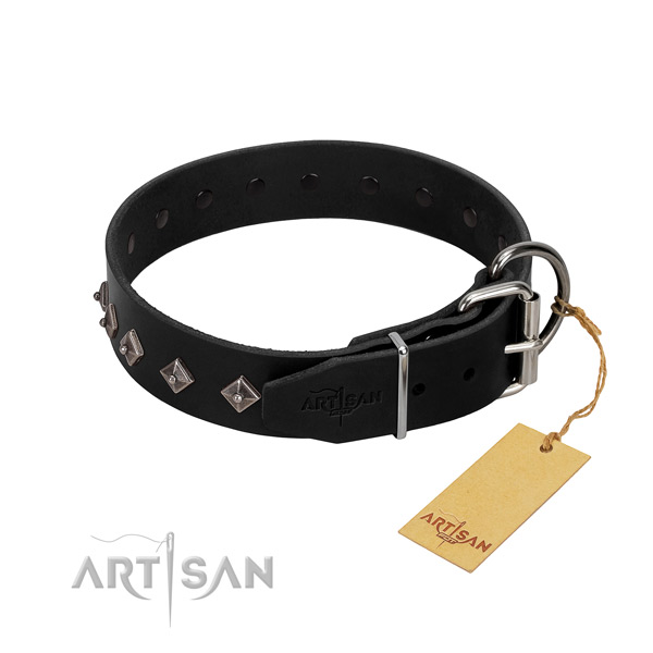 Natural leather dog collar with exceptional decorations for your four-legged friend