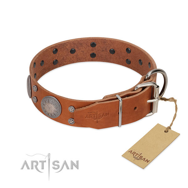 Rust-proof buckle on leather dog collar for everyday walking