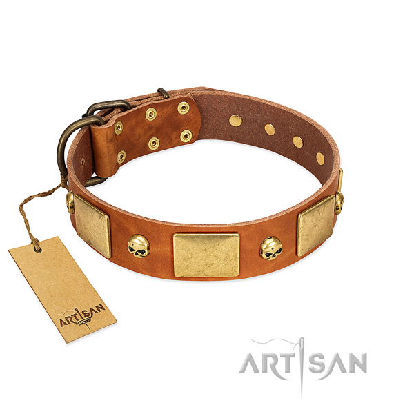 Quality full grain genuine leather dog collar with corrosion proof studs