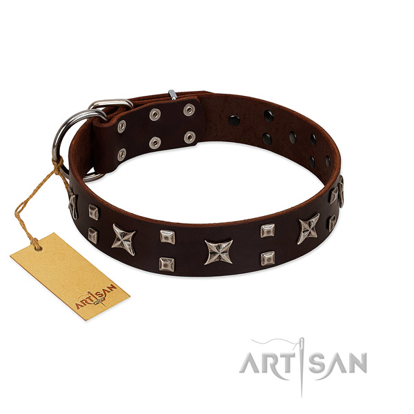 Reliable full grain leather dog collar with adornments for handy use