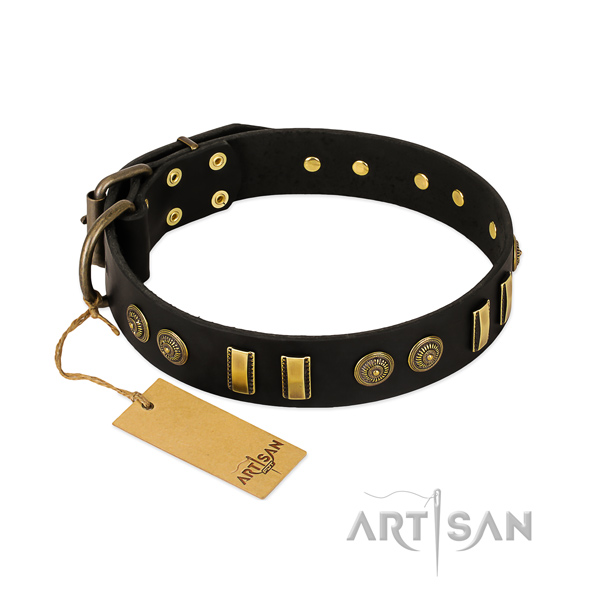 Corrosion proof adornments on full grain genuine leather dog collar for your pet