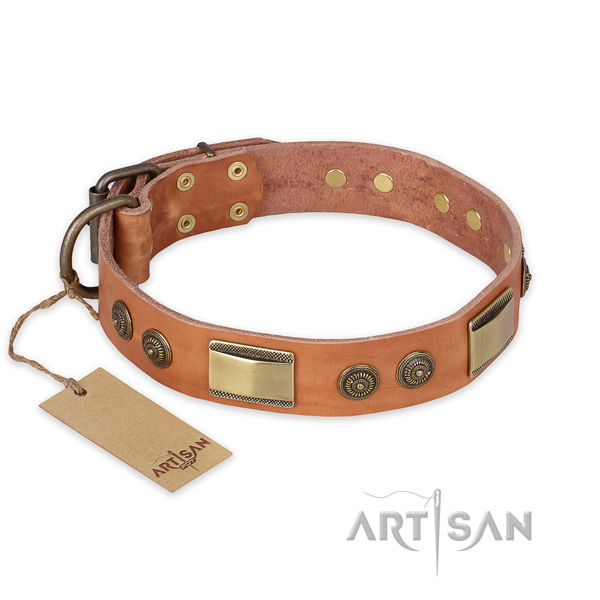 Significant full grain genuine leather dog collar for daily walking
