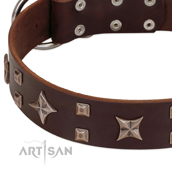 Corrosion proof fittings on genuine leather collar for walking your pet