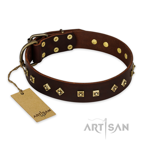 Extraordinary genuine leather dog collar with corrosion resistant fittings