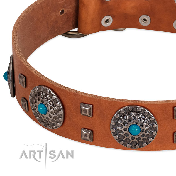 Soft full grain leather dog collar with remarkable decorations
