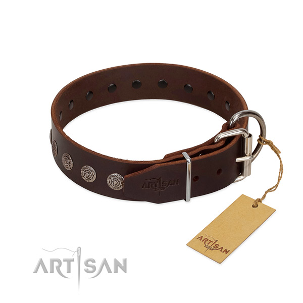 Significant leather collar for your canine