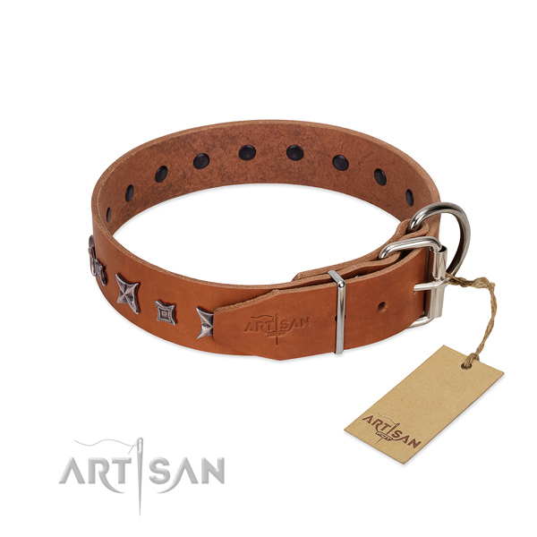 Genuine leather dog collar with stunning studs made dog