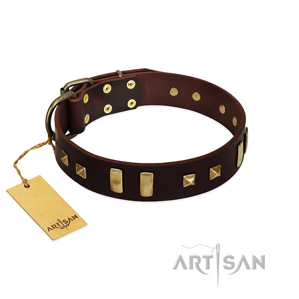 Genuine leather dog collar with rust-proof fittings