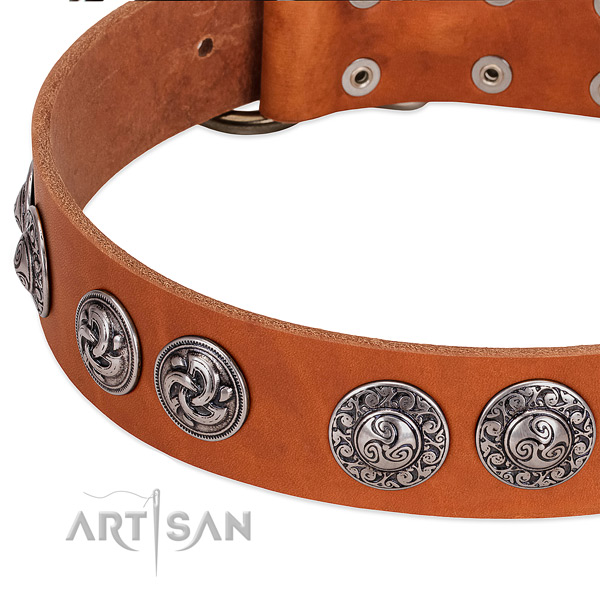 Remarkable full grain genuine leather dog collar for easy wearing