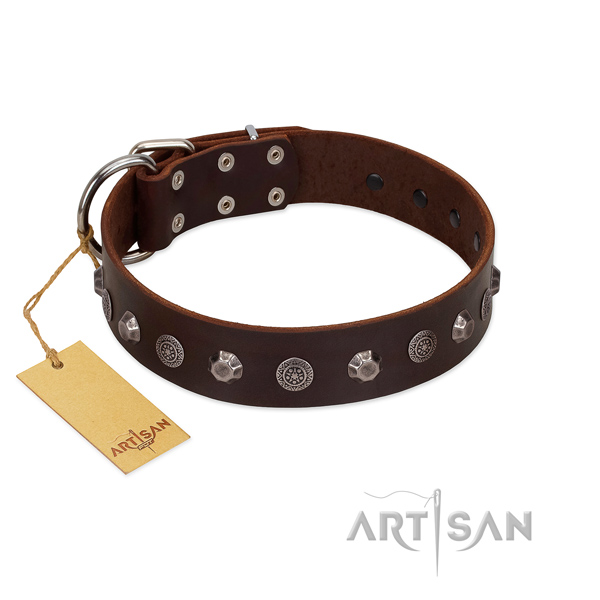 Fashionable natural leather dog collar