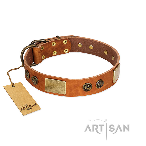 Impressive full grain genuine leather dog collar for easy wearing
